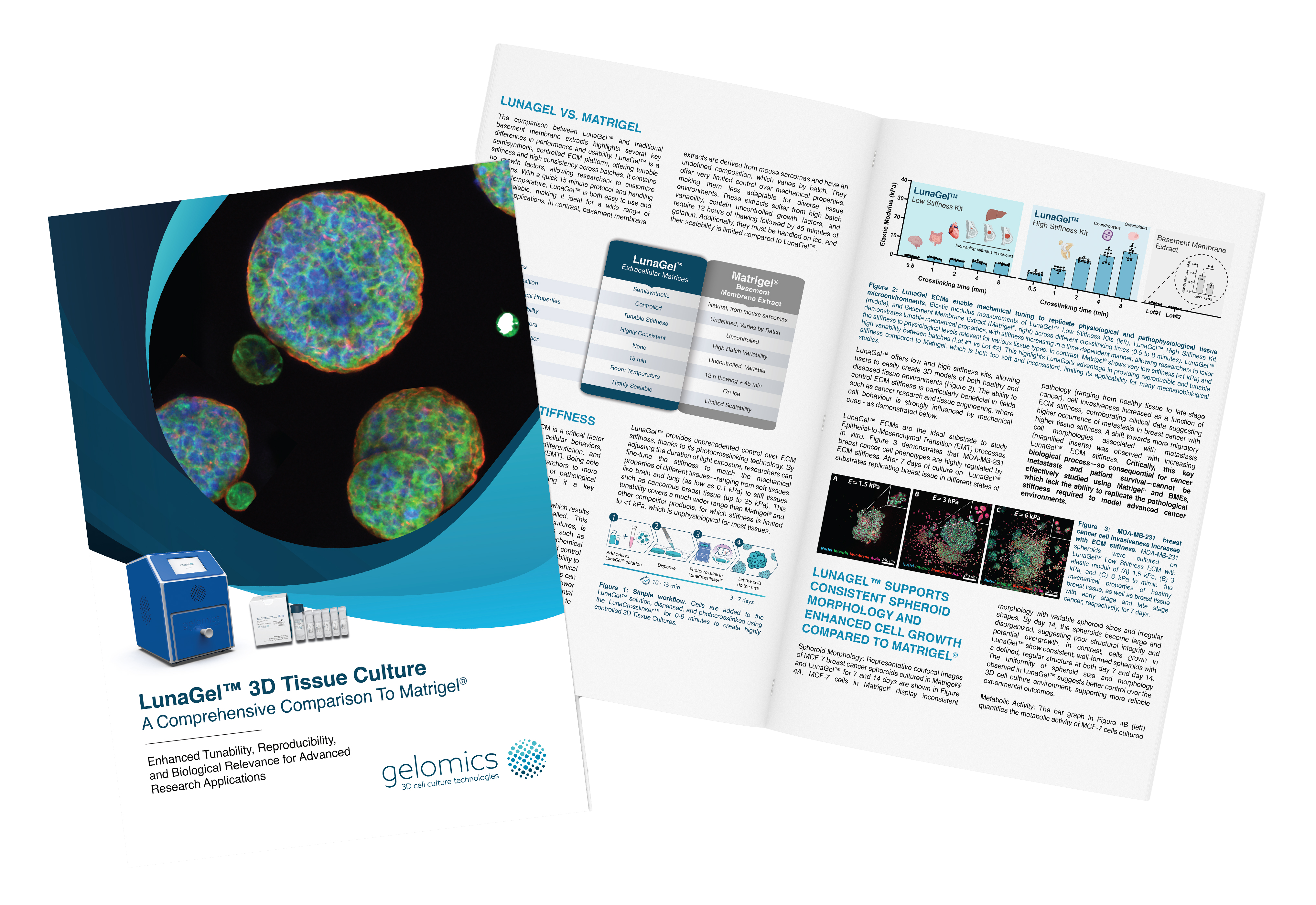 LunaGel vs Matrigel whitepaper_Cover_no bg