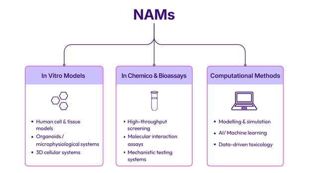 NAM - Blog Images_2