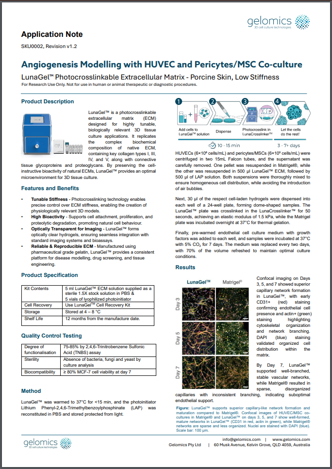 Angiogenesis Modelling with HUVEC and Pericytes/MSC Co-culture