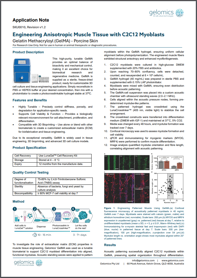 Engineering Anisotropic Muscle Tissue with C2C12 Myoblasts