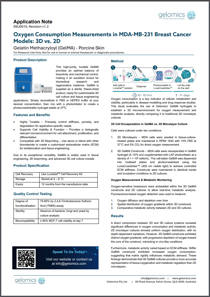 Oxygen Consumption Measurements in MDA-MB-231 Breast Cancer Models: 3D vs. 2D